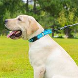 Dog Collar for Small to Large Dogs, Reflective Nylon No Pull Choke Collar with Locator Protective Cover, Metal D-Ring & No Buckl