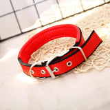 Dog Collars，Nylon，Adjustable Dog Neck Circle，Long-lasting Pet Neck Strap，with Traction Ring，Teddy Keji Pitbull，Pet Supplies