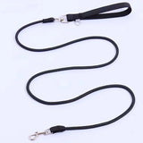 Dog Leash Colorful Long Dogs Leash 2M Pet Chain Nylon Leashes for Dog Walking Comfortabe Handle Dogs Leashes 160cm Pet Supplies