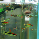 Aquarium Decoration Plant Cup Pot Acrylic Aquatic Plant Cup With Suction Holder Planting Cylinder Cup Aquarium Accessories