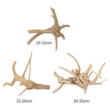 Natural Driftwood Cuckoo Roots Dead-wood Tree Trunk Micro Landscape Creative Reptile Cylinder Fish Tank Ornament Aquarium Decor