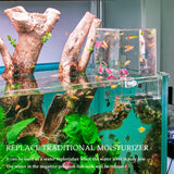 Negative Pressure Fish Tank Suspended Transparent Fish Tank Desktop Fighting Fish Tank Ecological Tank Landscaping Decoration