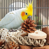 Bird Toys Parrot Natural Bird Foraging Box Foot Toys for Parakeets,Cockatiels,Conures,Love Birds,and Other Small to Medium Birds