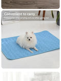 Cooling Pet Ice Mat – Summer Gel Pad for Cats & Small Dogs, Breathable & Portable Bed