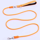 Dog Leash Colorful Long Dogs Leash 2M Pet Chain Nylon Leashes for Dog Walking Comfortabe Handle Dogs Leashes 160cm Pet Supplies