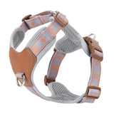OODUDUOO Dog Harness Adjustable Pet Harness Vest For Small Medium Dogs Pet Chest Strap French Bulldog Puppy Chihuahua Leash Set