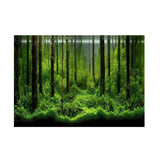 PVC Adhesive Underwater Forest Tank Background Poster Backdrop Waterproof Decoration Paper