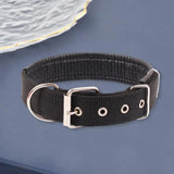 Dog Collars，Nylon，Adjustable Dog Neck Circle，Long-lasting Pet Neck Strap，with Traction Ring，Teddy Keji Pitbull，Pet Supplies