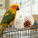 Bird Toys Parrot Natural Bird Foraging Box Foot Toys for Parakeets,Cockatiels,Conures,Love Birds,and Other Small to Medium Birds