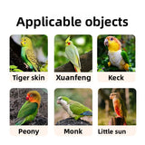 Bird Daily Use Bathtub for Health Bird Shower Basin for Tabletop Parrots Bathing Parrot Bath Automatically Circulates Bird Bath