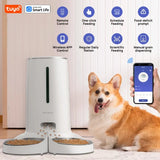 Smart WiFi Pet Feeder for Cats & Small Dogs – 4L Food Dispenser with App Control, Dual Stainless Bowls, Water Fountain, Low Food Alerts