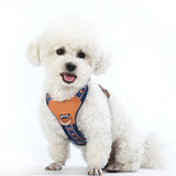 OODUDUOO Dog Harness Adjustable Pet Harness Vest For Small Medium Dogs Pet Chest Strap French Bulldog Puppy Chihuahua Leash Set
