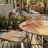 Small Bamboo Woven Bird Cage Lightweight Portable Travel Cage For Birds Home Decorative Flight Cage With Intricate Design