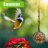 Wild Bird Feeders Metal Suet Ball Bird Feeder Set with Hanging Chain Squirrel Proof for Outdoor Garden Hummingbird Feeders