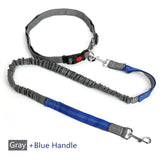 Retractable Dog Leash with Adjustable Waist Rope Hand Free Running Jogging Cycling Big Dogs Pet Elasticity Lead Pet Supplies