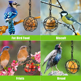 Wild Bird Feeders Metal Suet Ball Bird Feeder Set with Hanging Chain Squirrel Proof for Outdoor Garden Hummingbird Feeders