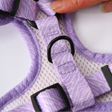 Dog Harness and Leash Set-Includes dog collar and leash,dog accessories for small dogs Chihuahua Teddy Bear French Bulldog