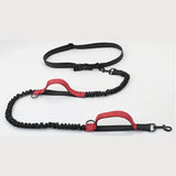 Double elastic reflective running leash portable retractable dog leash dog chain leash pet supplies wholesale