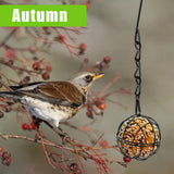Wild Bird Feeders Metal Suet Ball Bird Feeder Set with Hanging Chain Squirrel Proof for Outdoor Garden Hummingbird Feeders