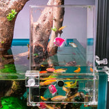 Negative Pressure Fish Tank Suspended Transparent Fish Tank Desktop Fighting Fish Tank Ecological Tank Landscaping Decoration